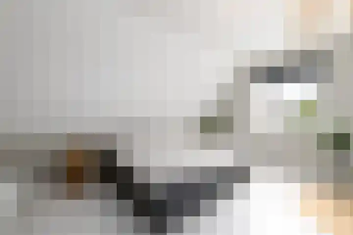 Topaas 2 a Drachten thumbnail 24