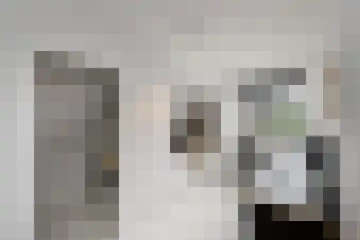 Topaas 2 a Drachten thumbnail 29