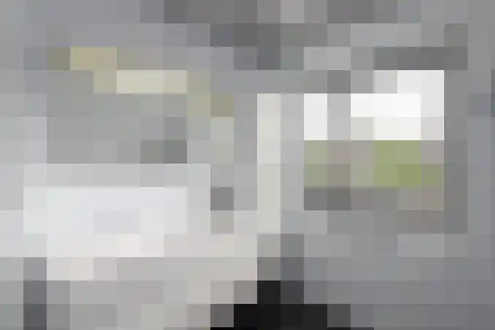 Topaas 2 a Drachten thumbnail 32