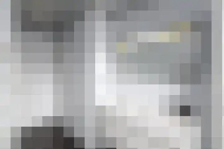 Topaas 2 a Drachten thumbnail 34