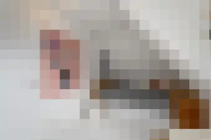 Topaas 2 a Drachten thumbnail 38