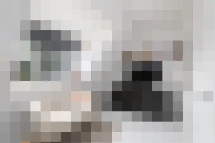 Topaas 2 a Drachten thumbnail 39