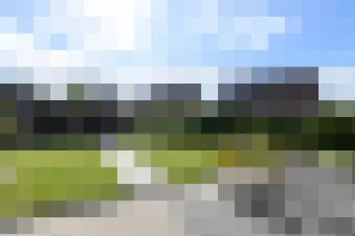 Topaas 2 a Drachten thumbnail 45