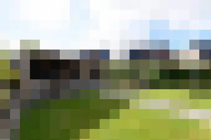 Topaas 2 a Drachten thumbnail 52