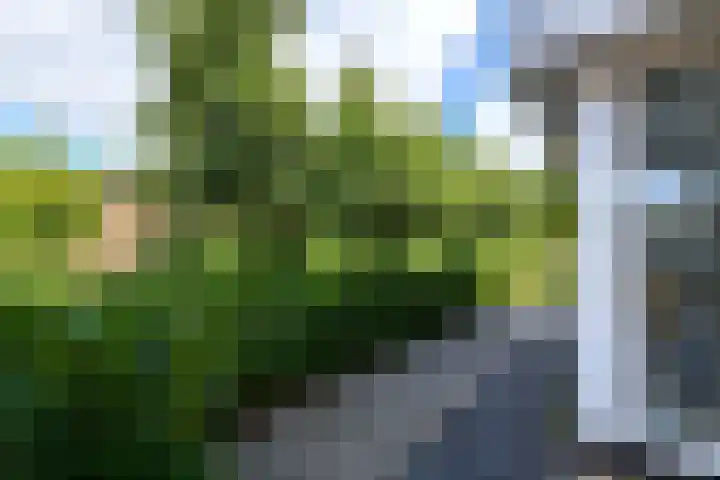 Topaas 2 a Drachten thumbnail 59