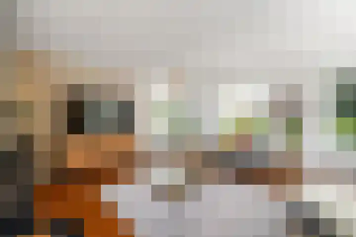 Topaas 2 a Drachten thumbnail 8