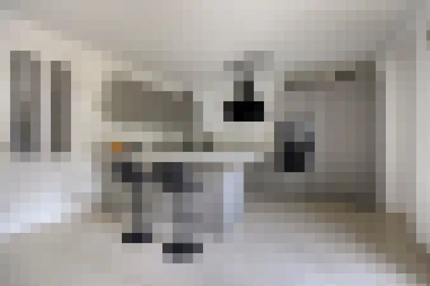 Topaas 2 Drachten thumbnail 11