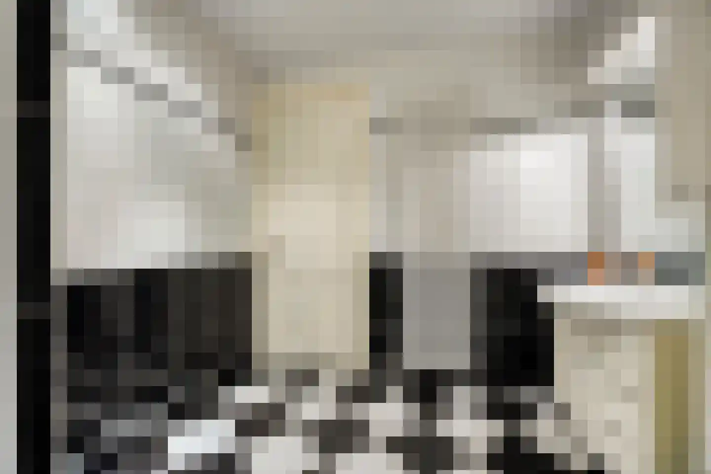 Topaas 2 Drachten thumbnail 37