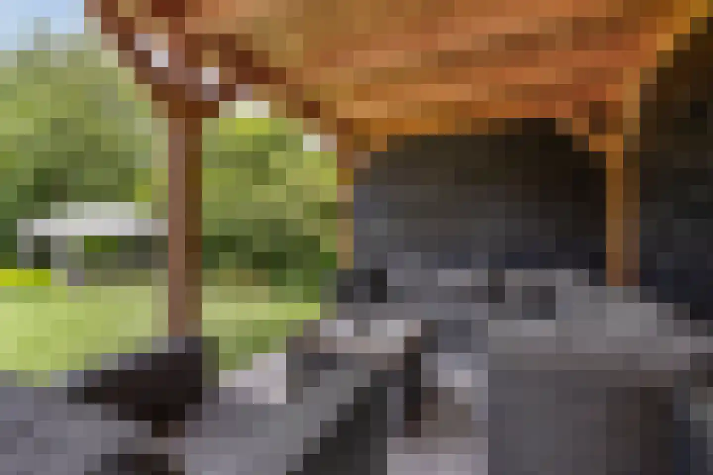 Topaas 2 Drachten thumbnail 48