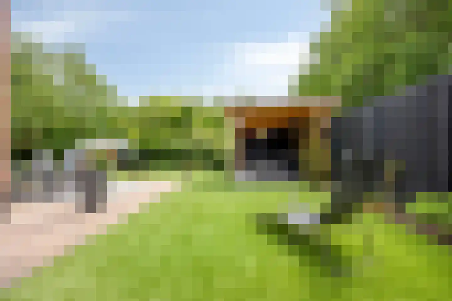 Topaas 2 Drachten thumbnail 49