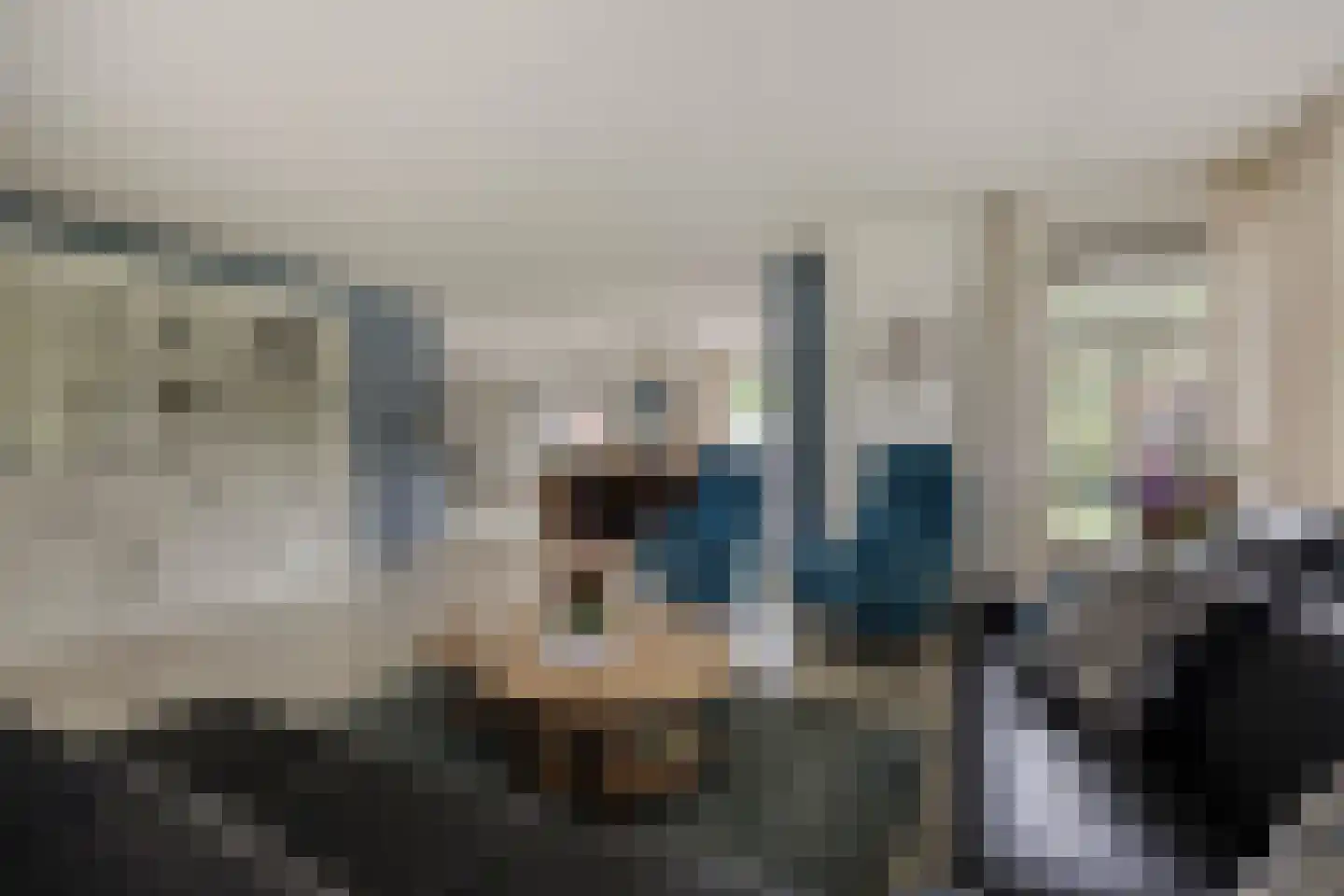 Topaas 2 Drachten thumbnail 5