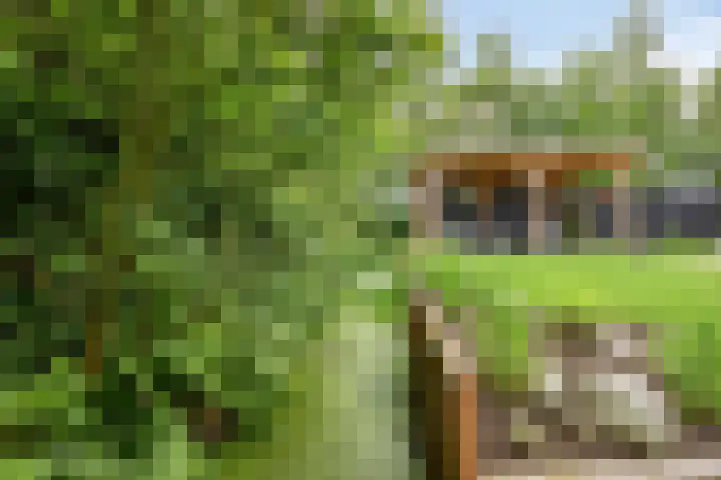 Topaas 2 Drachten thumbnail 50