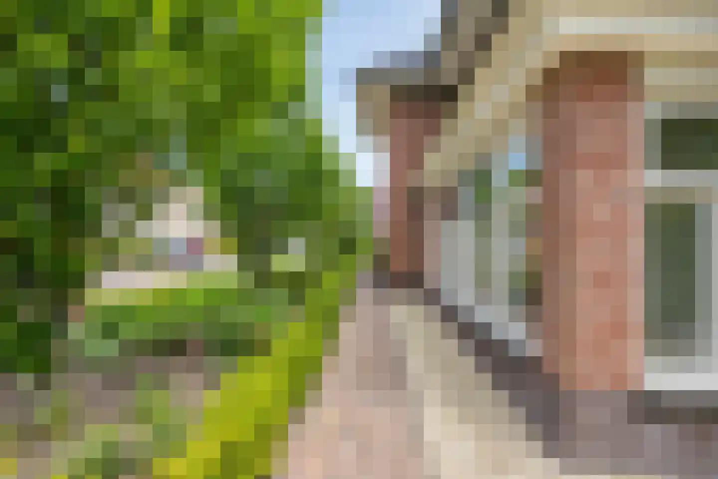 Topaas 2 Drachten thumbnail 54