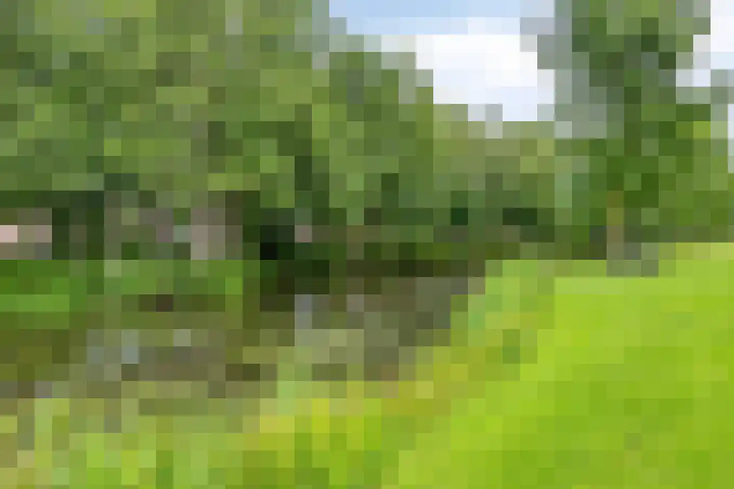 Topaas 2 Drachten thumbnail 59