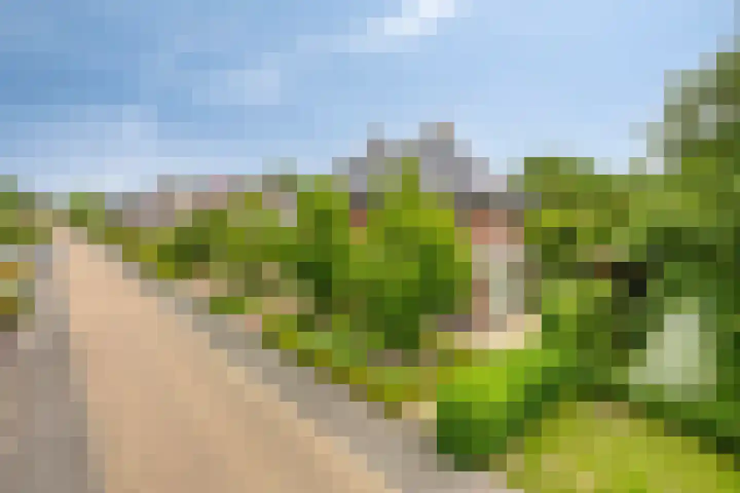 Topaas 2 Drachten thumbnail 62