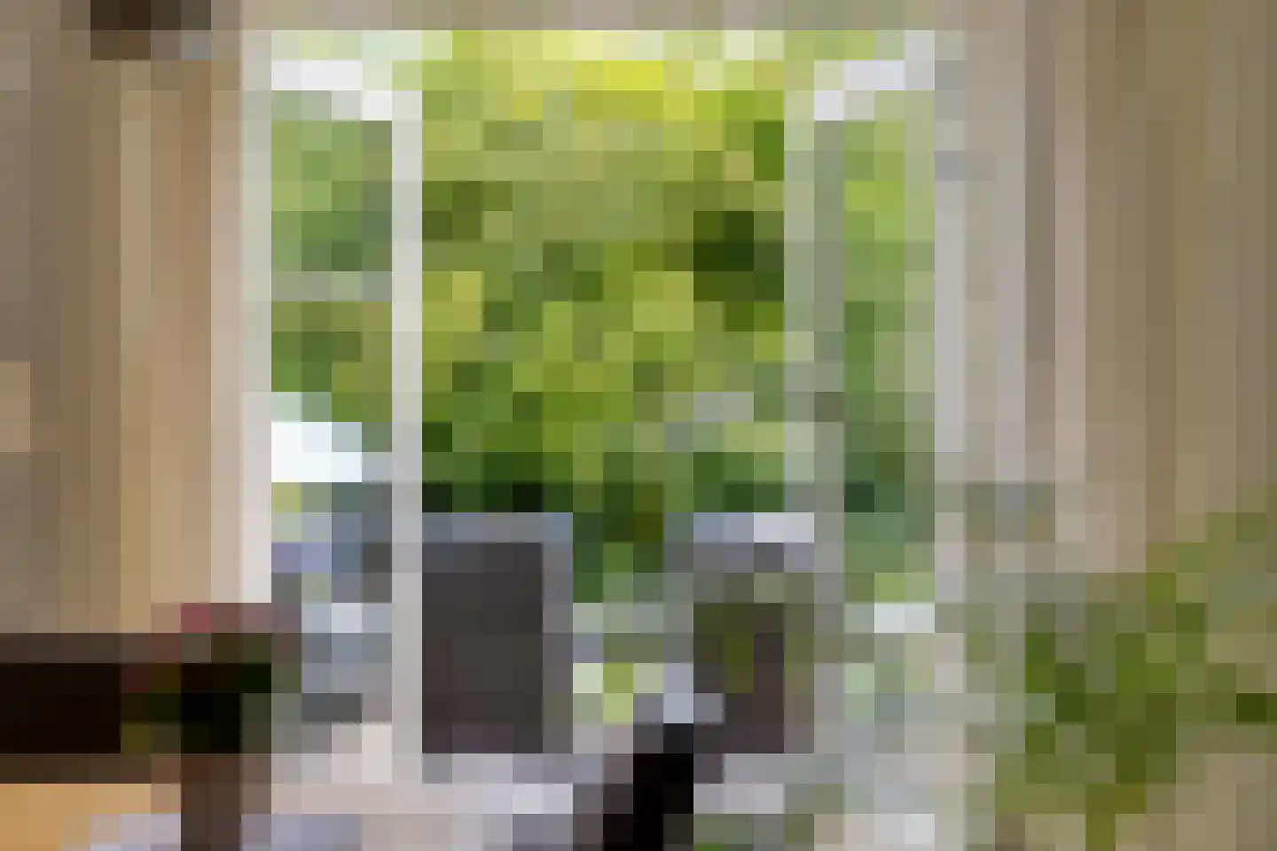 Topaas 2 Drachten thumbnail 7