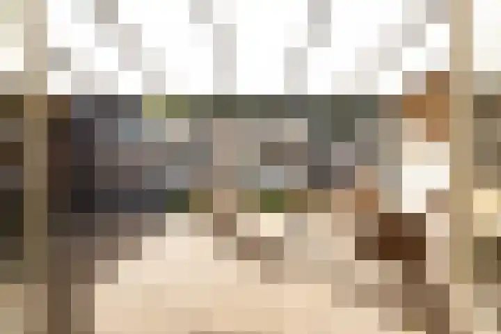 Topaas 20 's-Hertogenbosch thumbnail 15