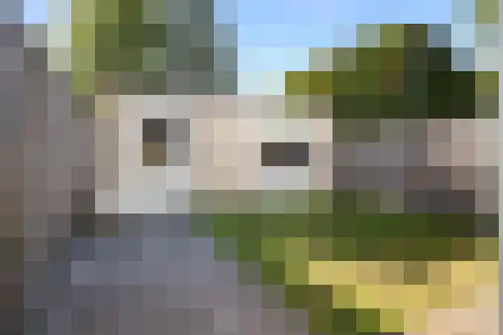 Topaas 20 's-Hertogenbosch thumbnail 16