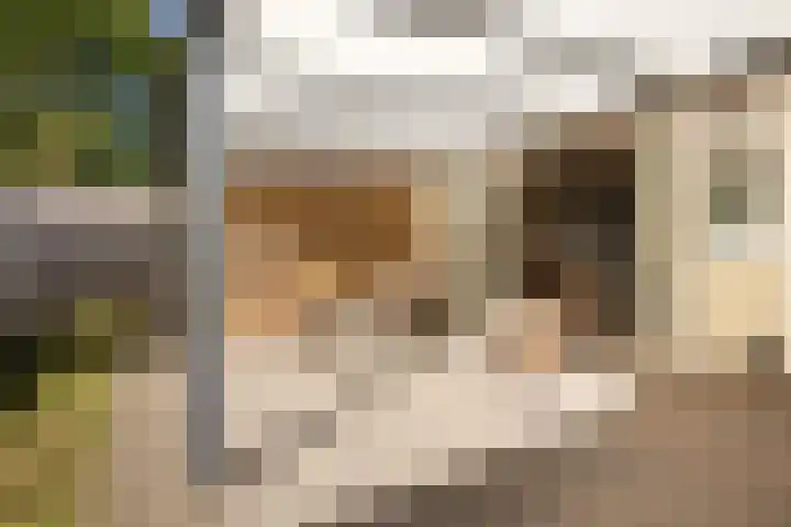 Topaas 20 's-Hertogenbosch thumbnail 18