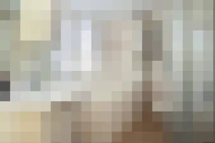Topaas 20 's-Hertogenbosch thumbnail 22
