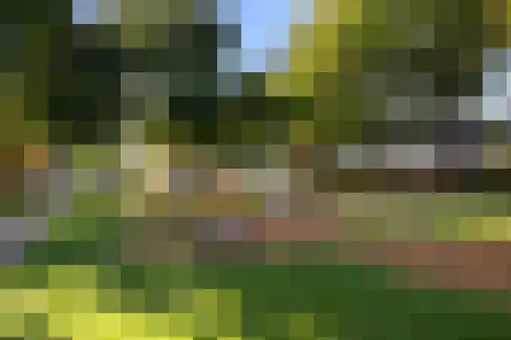 Topaas 20 's-Hertogenbosch thumbnail 25