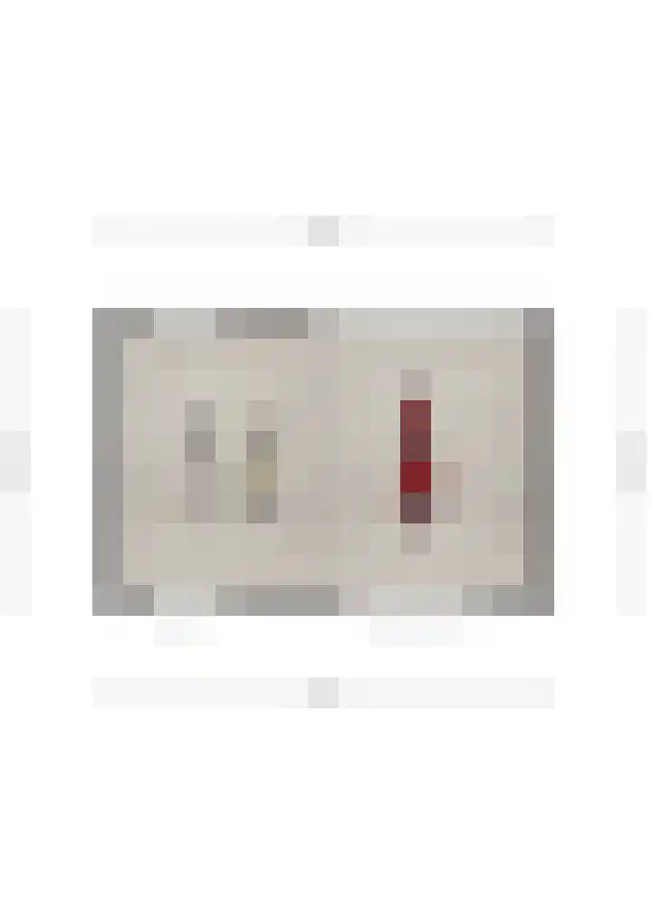 Topaas 20 's-Hertogenbosch thumbnail 30