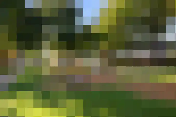 Topaas 20 's-Hertogenbosch thumbnail 4