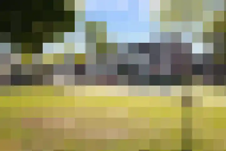 Topaas 20 's-Hertogenbosch thumbnail 5