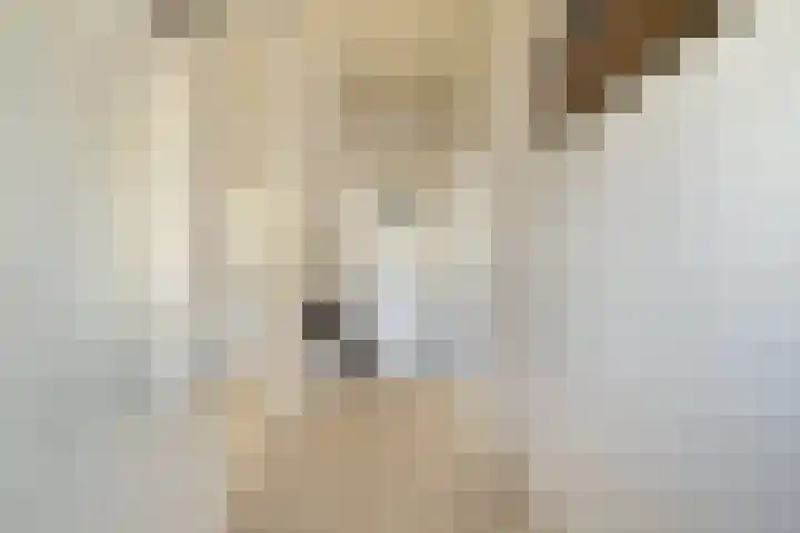 Topaas 20 's-Hertogenbosch thumbnail 8