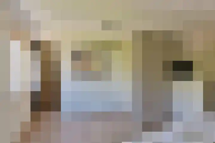 Topaas 29 Hoorn thumbnail 21