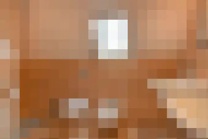 Topaas 29 Hoorn thumbnail 22
