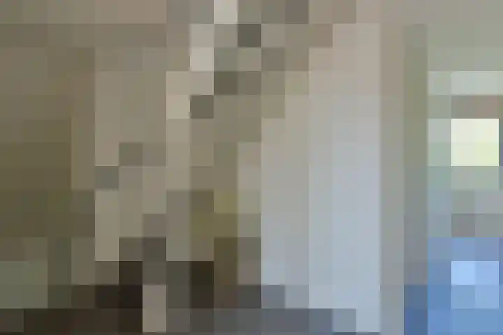 Topaas 29 Hoorn thumbnail 24