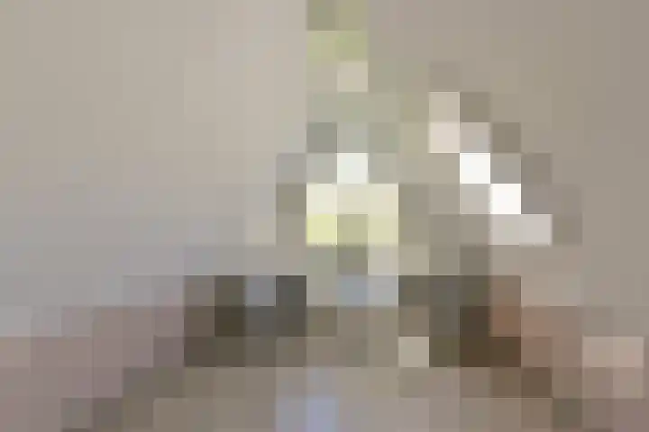 Topaas 29 Hoorn thumbnail 25