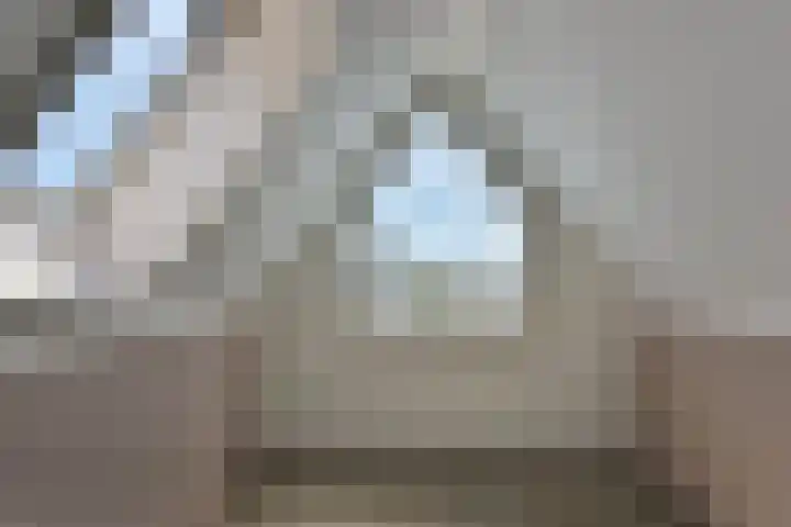 Topaas 29 Hoorn thumbnail 27