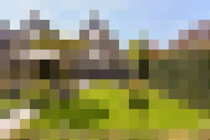 Topaas 29 Hoorn thumbnail 31