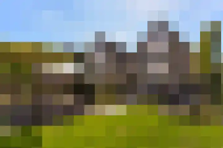 Topaas 29 Hoorn thumbnail 33