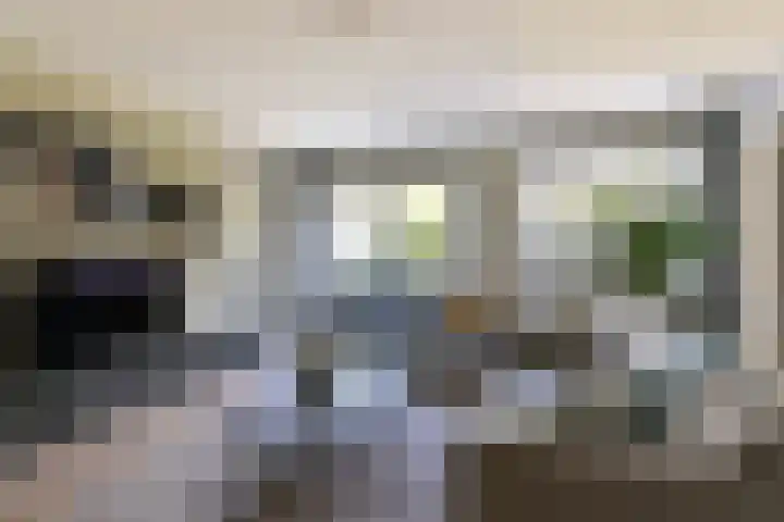 Topaas 29 Hoorn thumbnail 4
