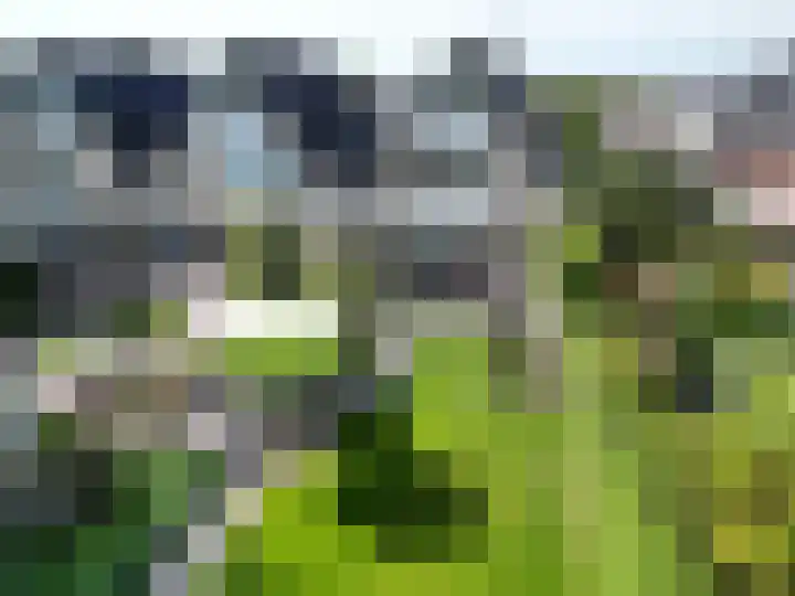 Topaas 29 Hoorn thumbnail 45