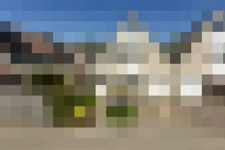 Topaas 29 Hoorn thumbnail 47