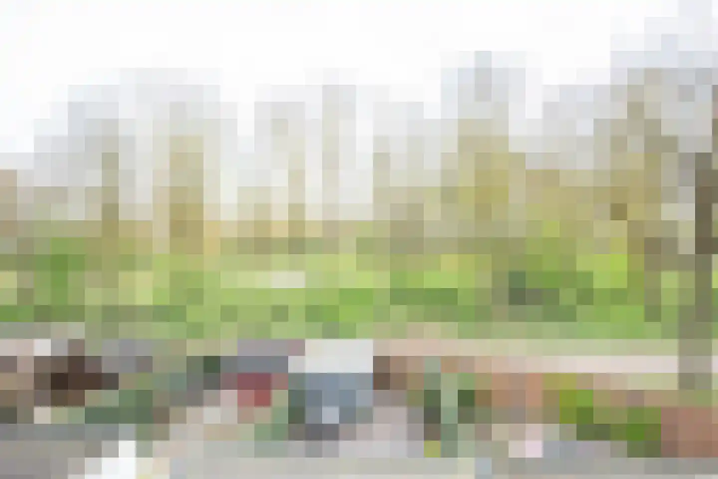 Topaas 3 Oss thumbnail 44