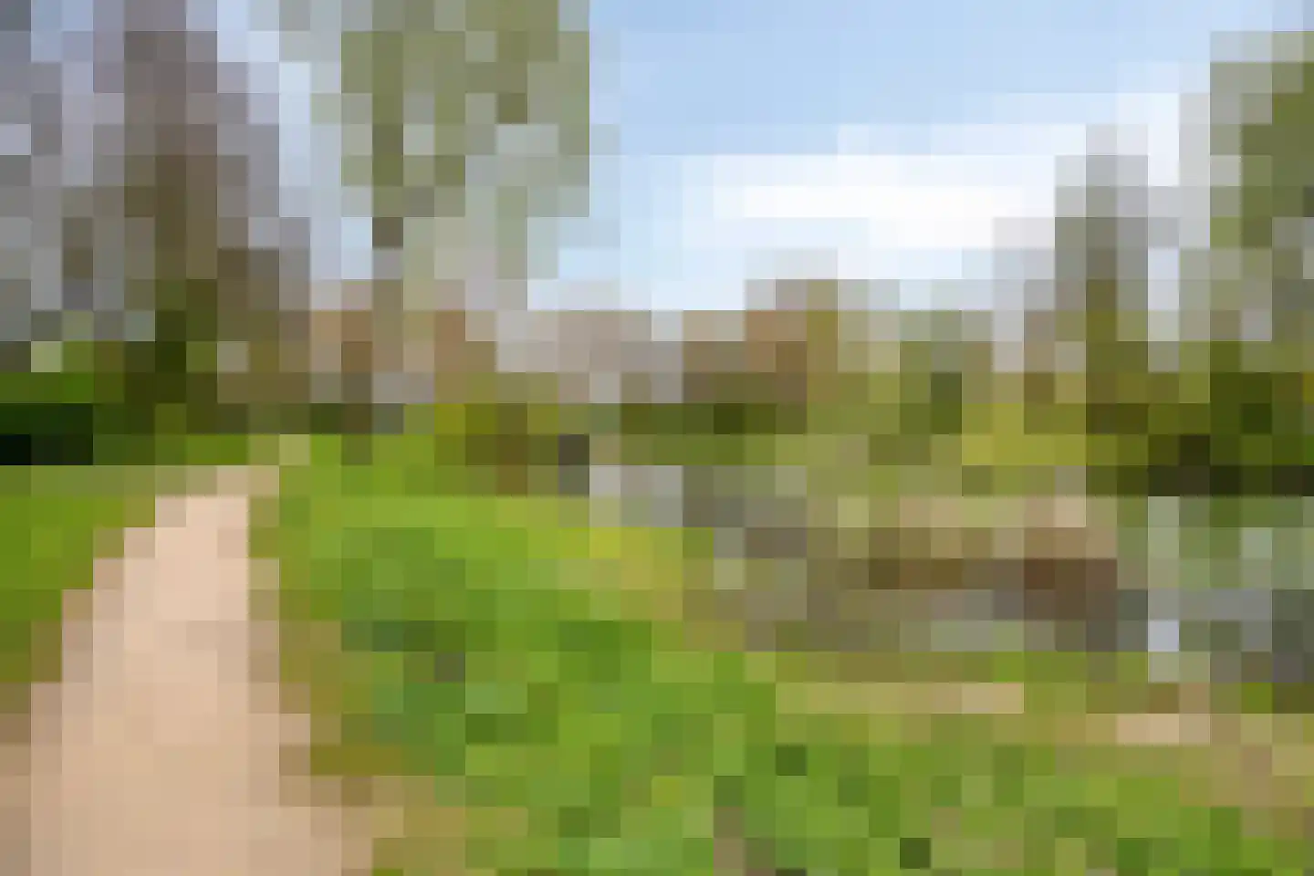Topaas 3 Oss thumbnail 49