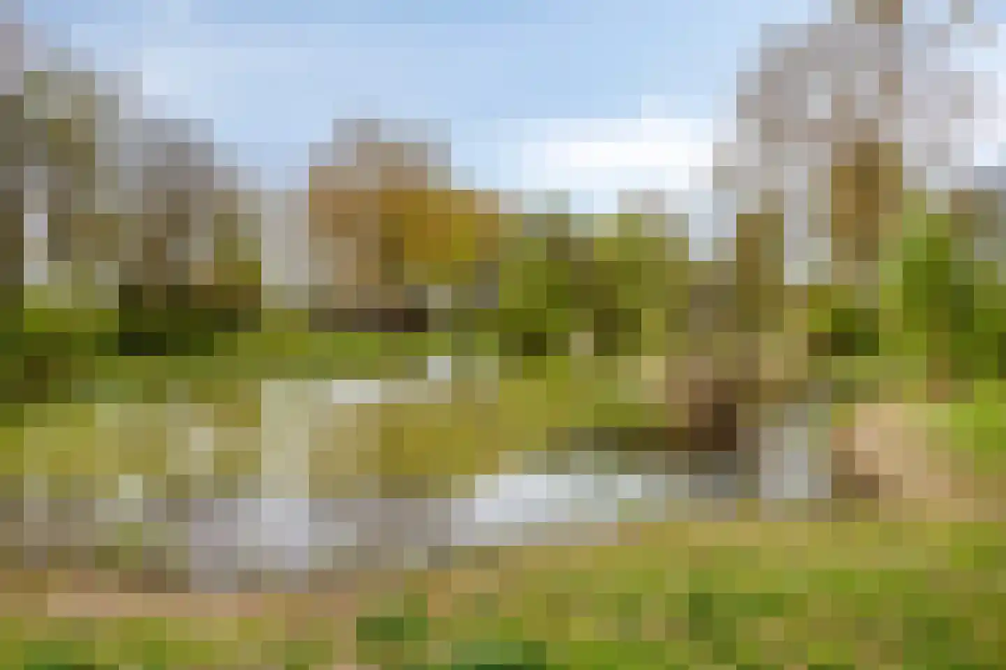 Topaas 3 Oss thumbnail 50