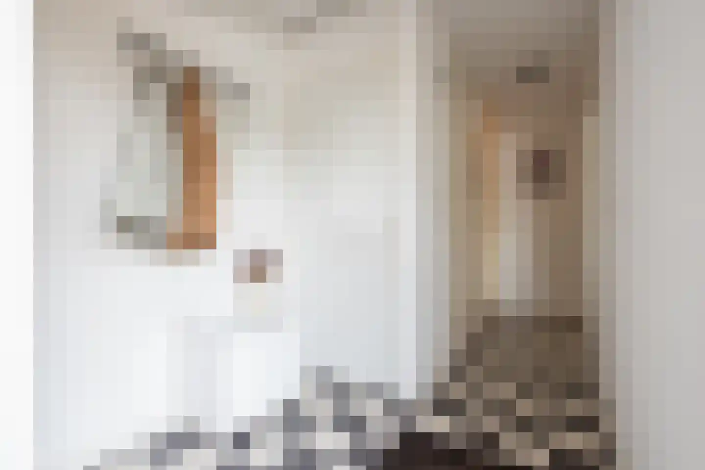 Topaas 3 Oss thumbnail 6