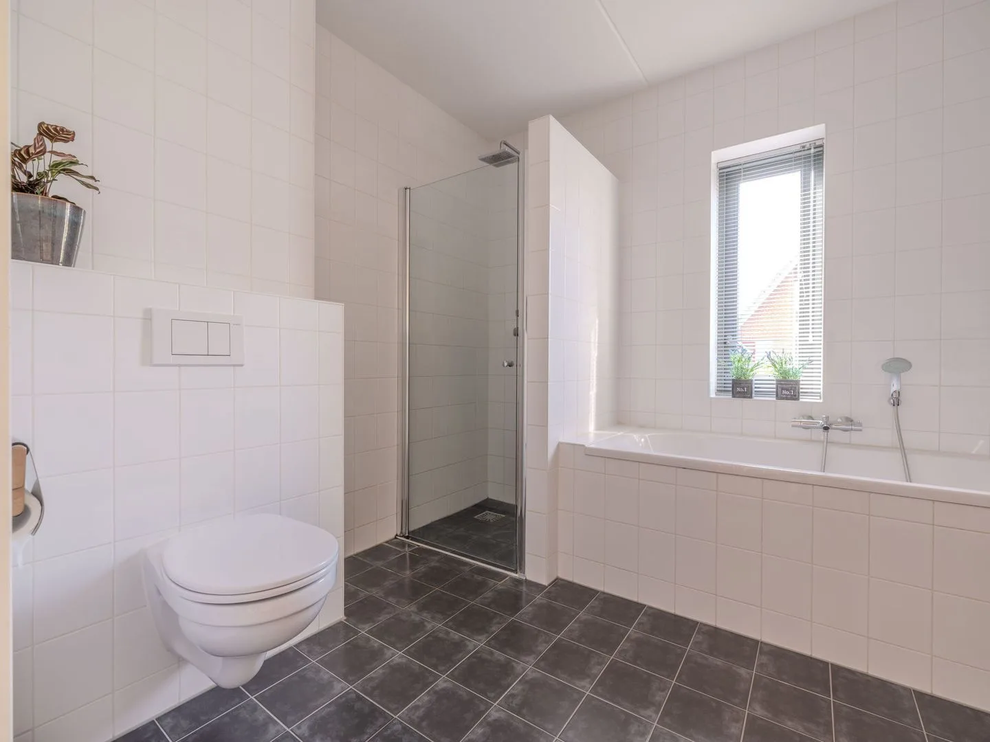 Topaas 39 Drachten thumbnail 29