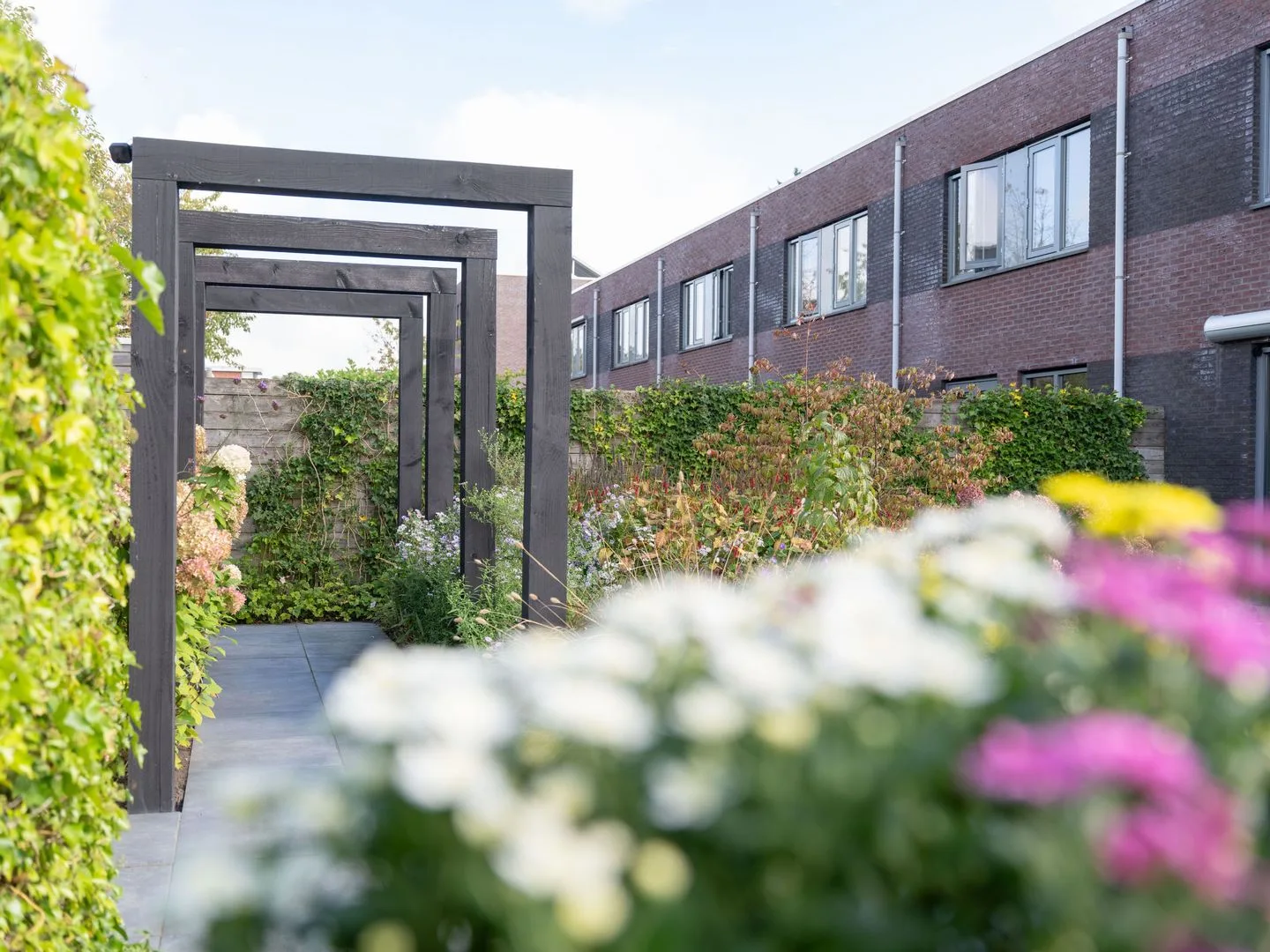 Topaas 39 Drachten thumbnail 47