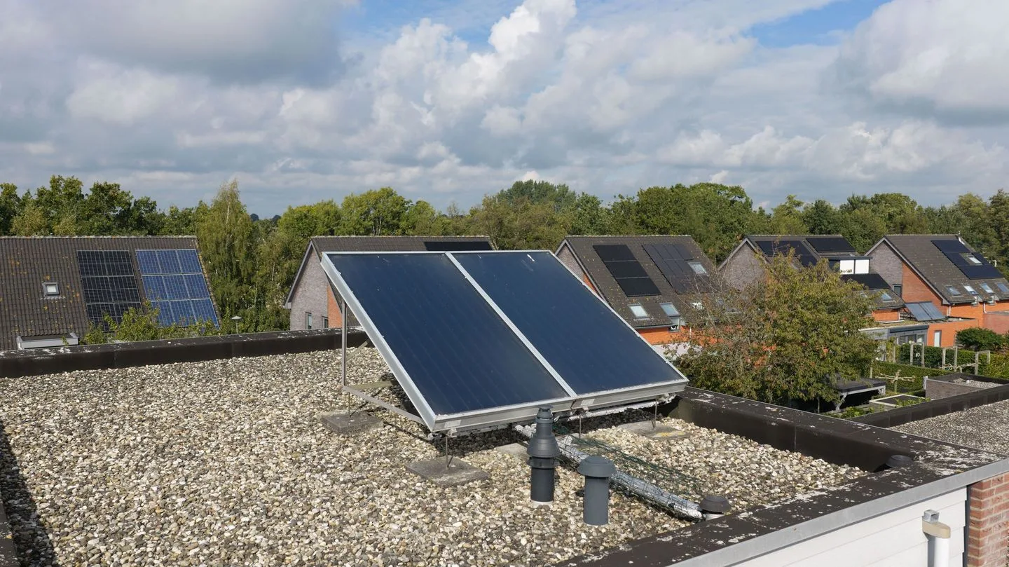 Topaas 39 Drachten thumbnail 58