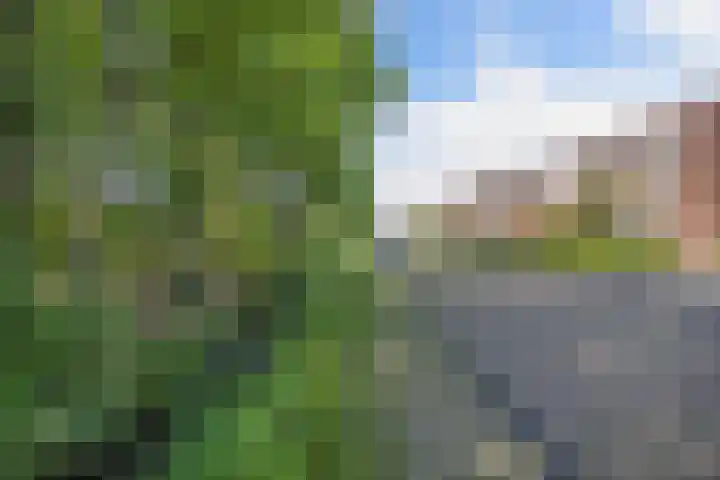 Topaas 45 Drachten foto 2