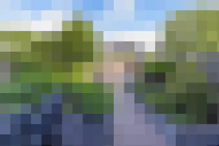 Topaas 45 Drachten thumbnail 21
