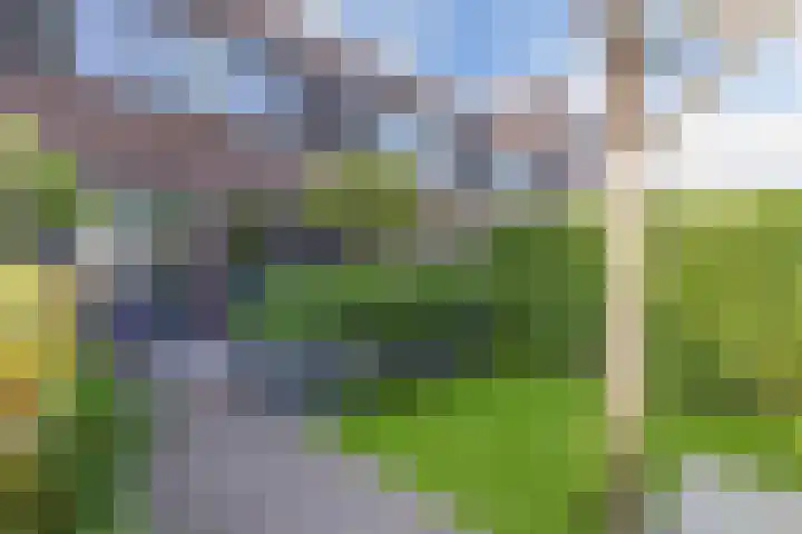 Topaas 45 Drachten thumbnail 22