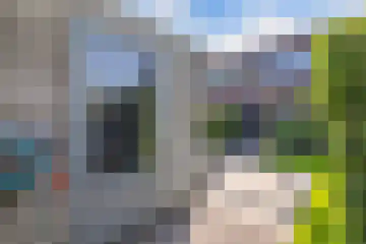 Topaas 45 Drachten thumbnail 23